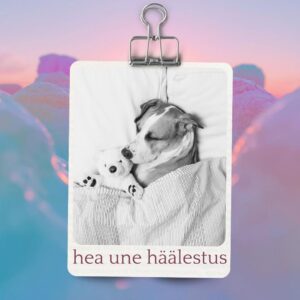Hea Une Meditatsioon